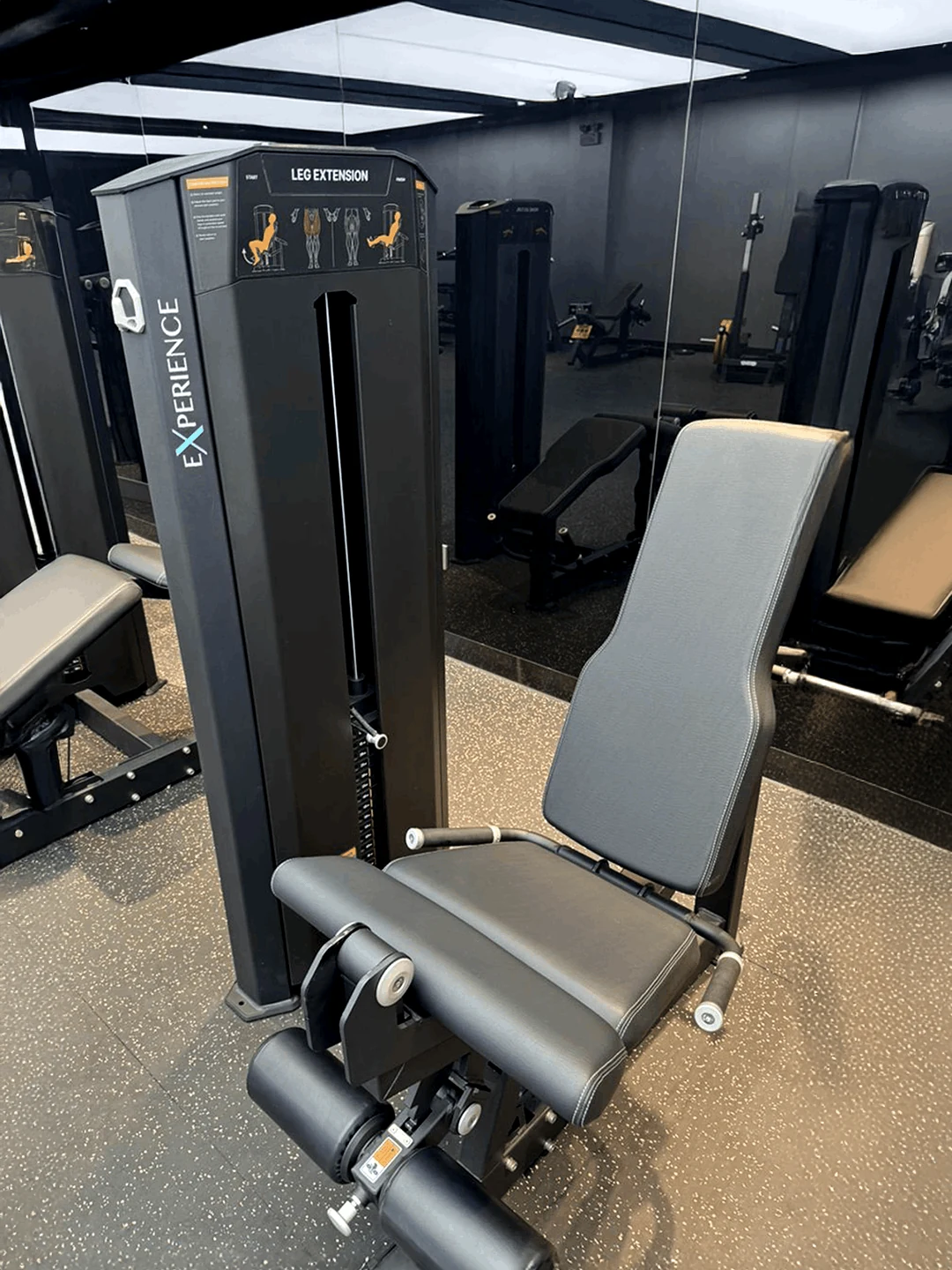 EX-1065 Leg Extension ile Güçlü Ön Bacak Antrenmanı