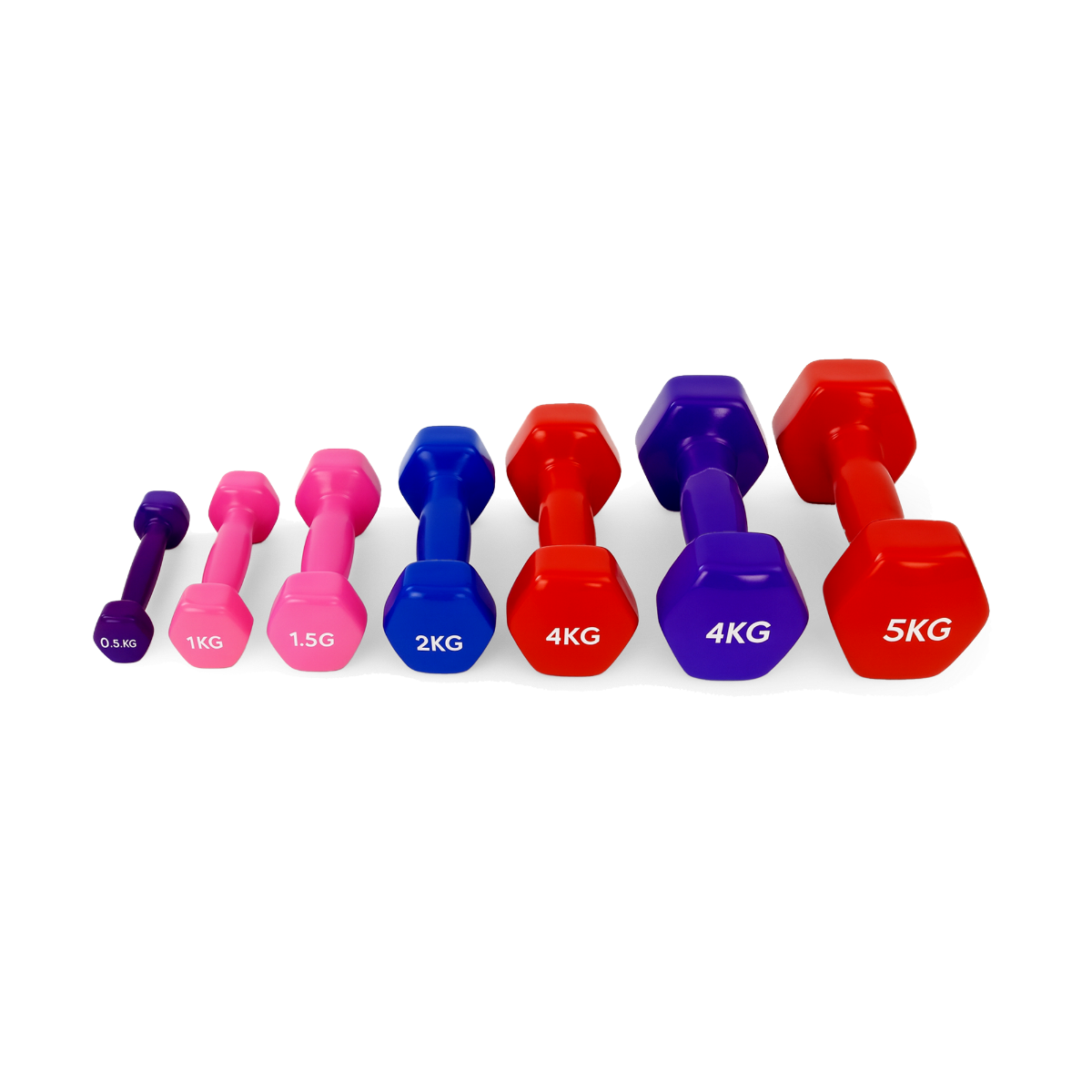 VINLY DUMBELL SET